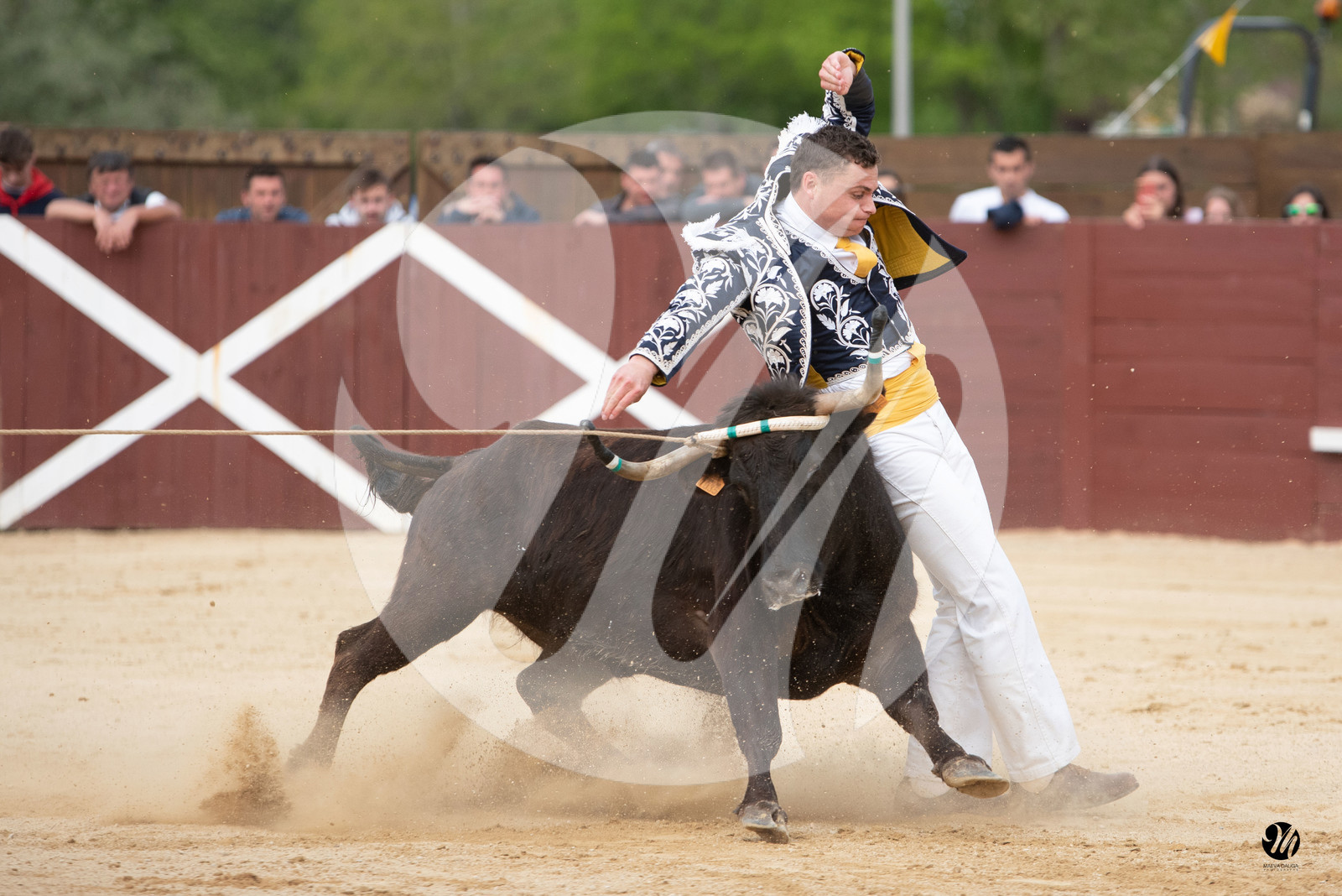 dsc_6111.jpg