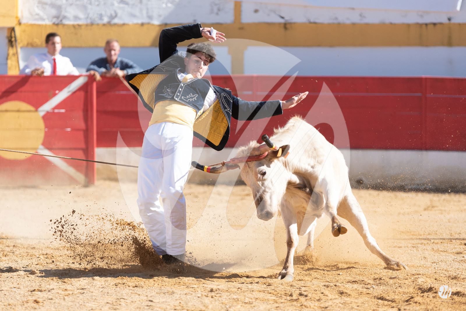 dsc_6678.jpg