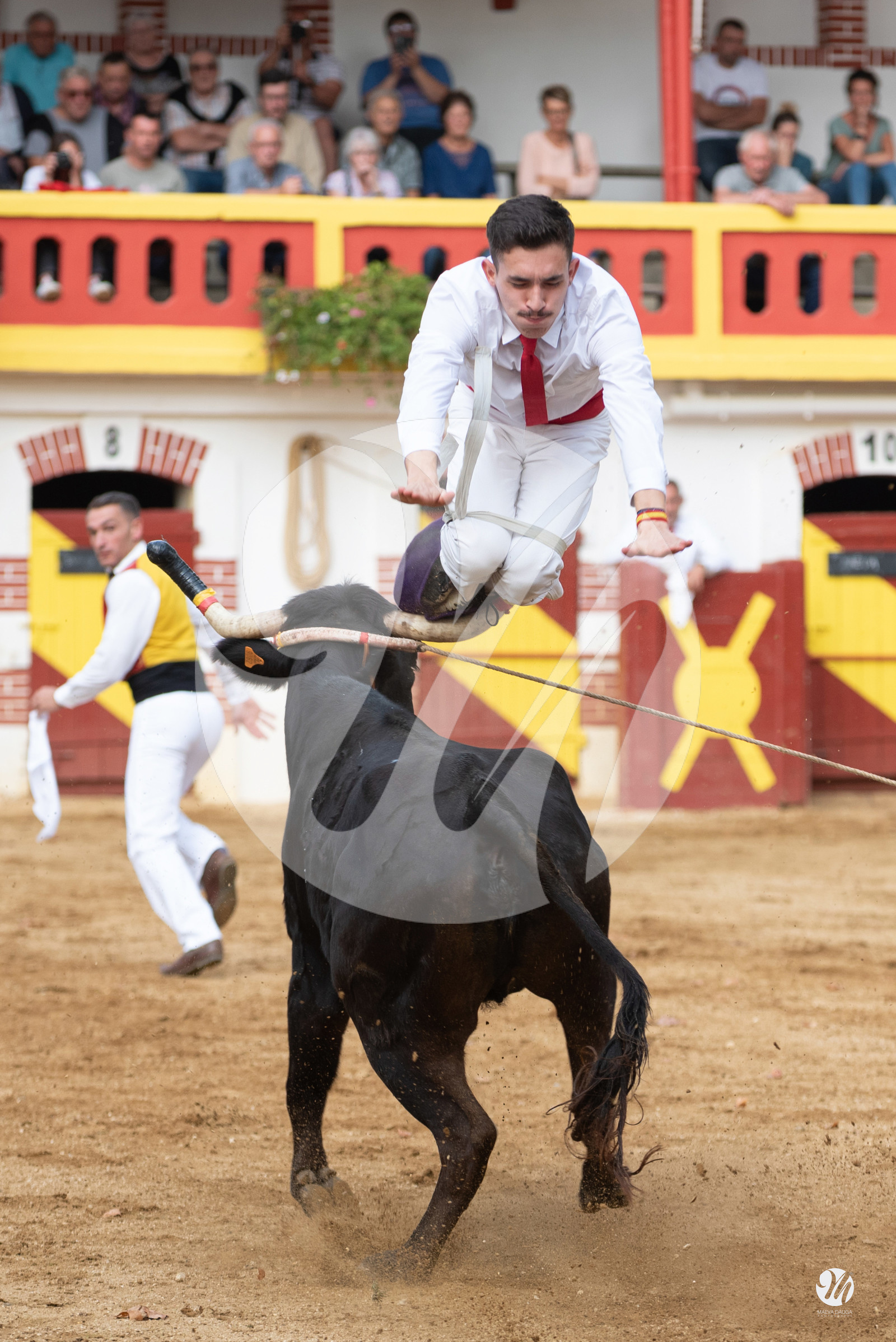 dsc_3082.jpg