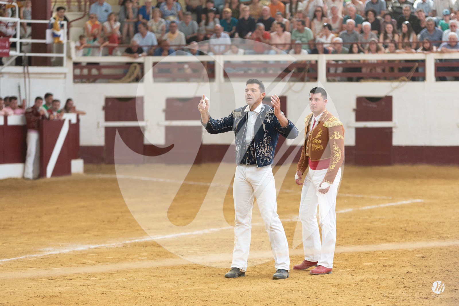 dsc_9525.jpg