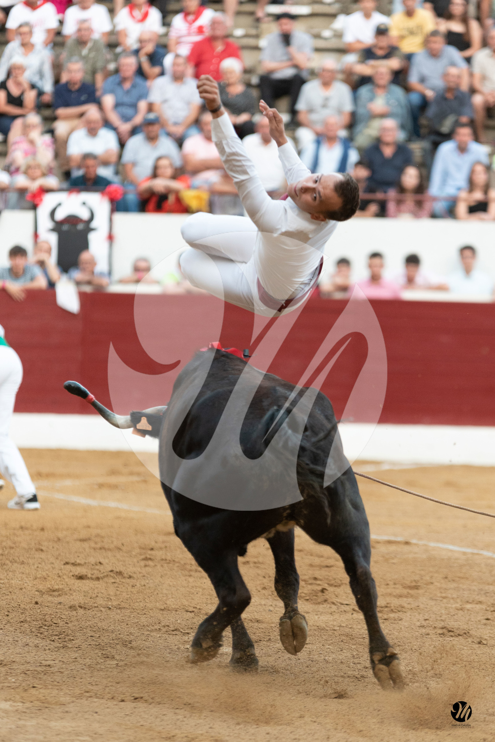 dsc_1425.jpg