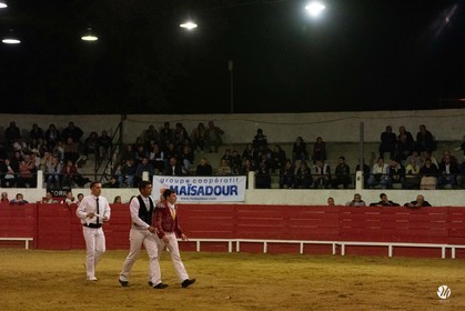 dsc_7278.jpg