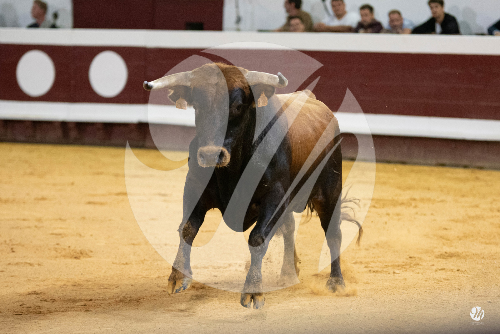 dsc_2346.jpg