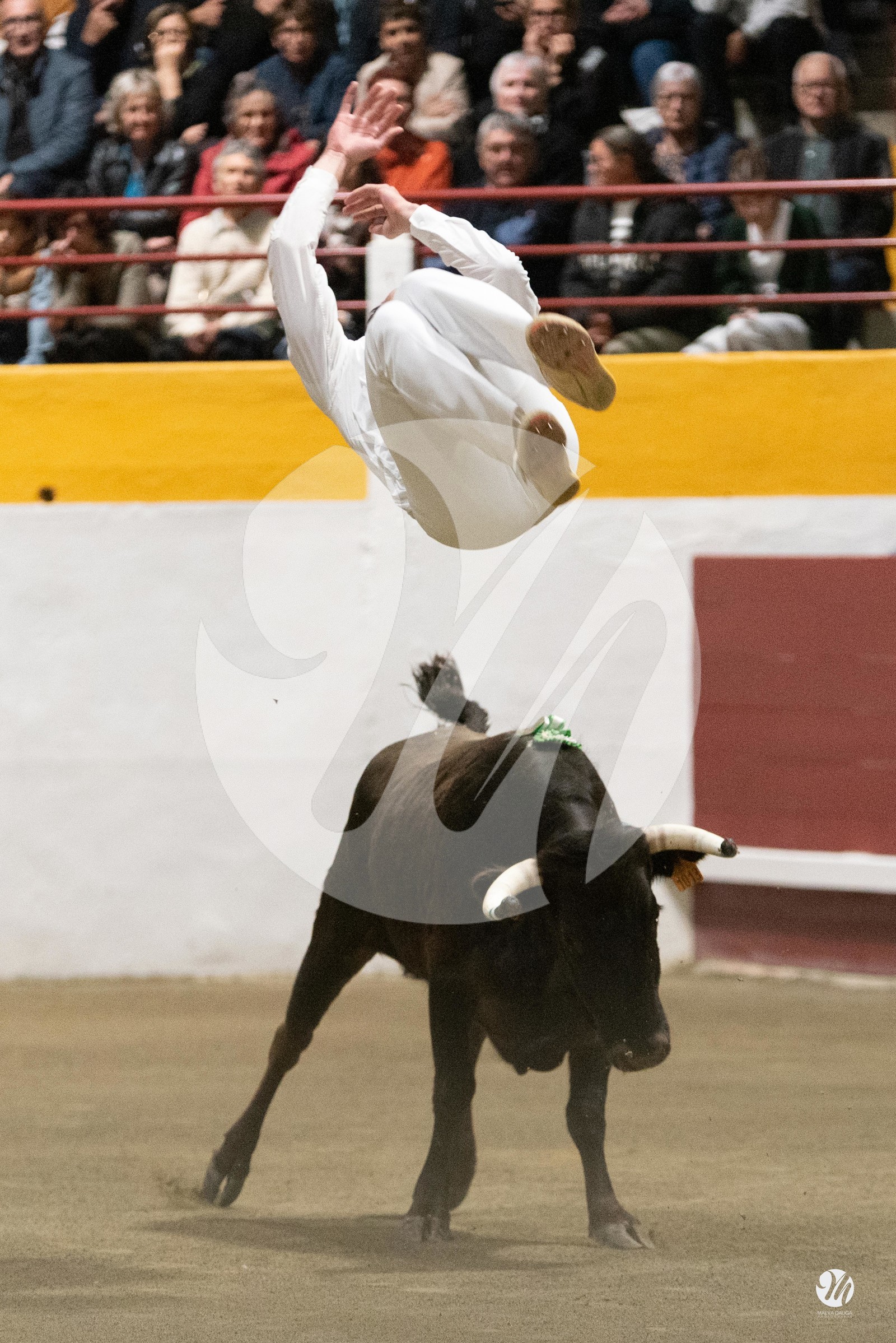 dsc_3846.jpg