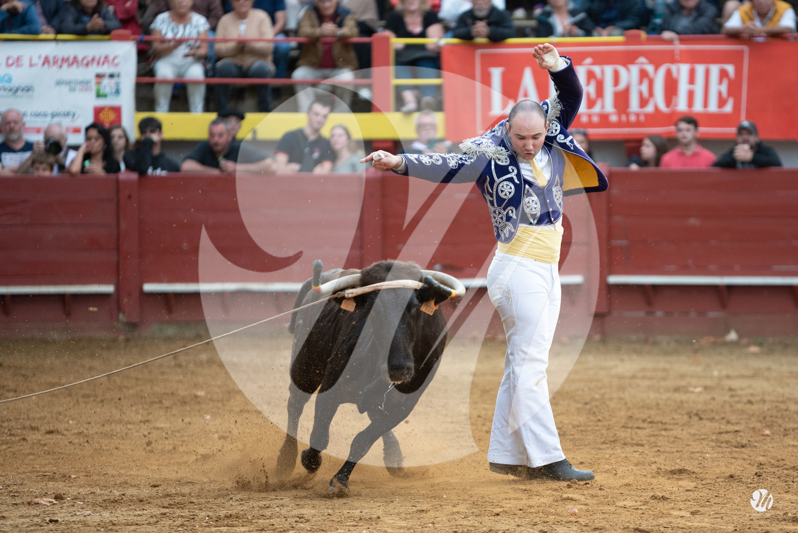 dsc_3585.jpg