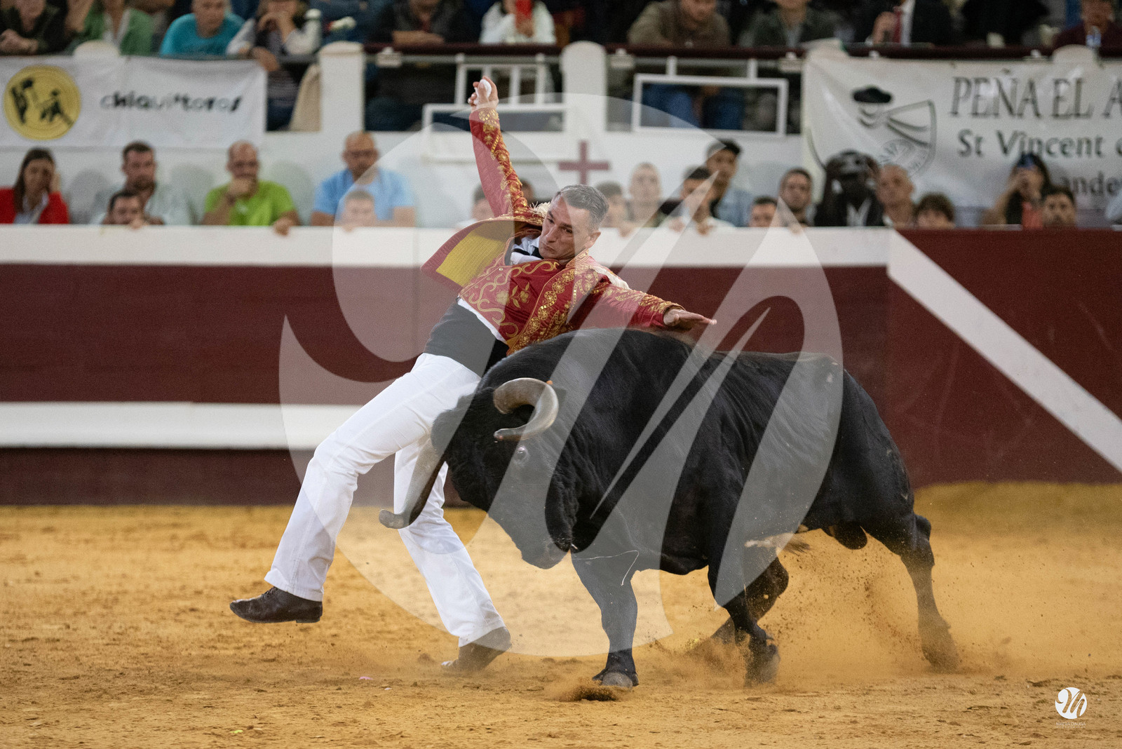 dsc_2180.jpg