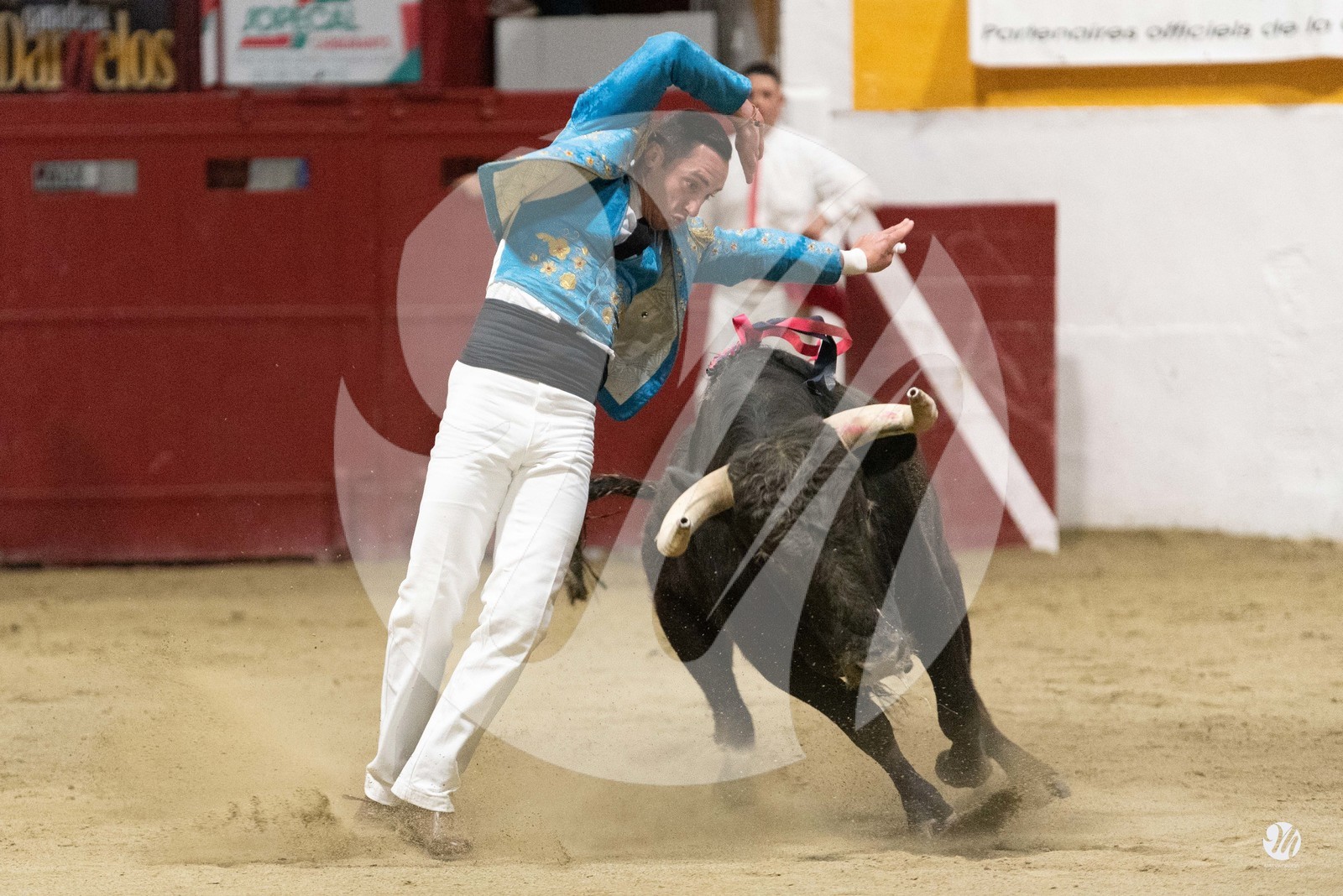 dsc_4369.jpg