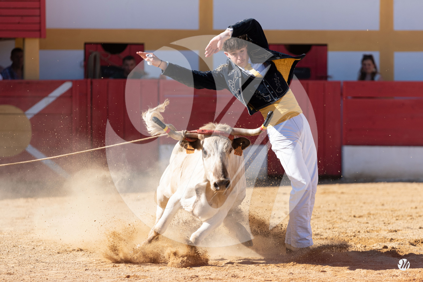dsc_6655.jpg