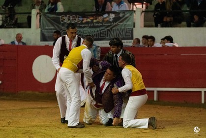 dsc_7575.jpg