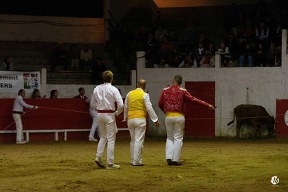 dsc_7194.jpg