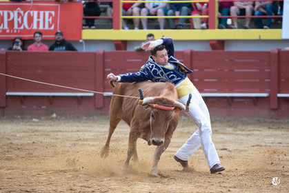 dsc_3452.jpg