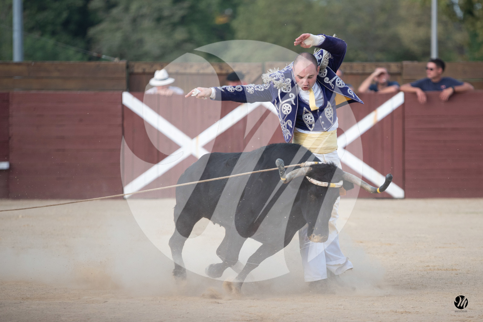 dsc_6262.jpg