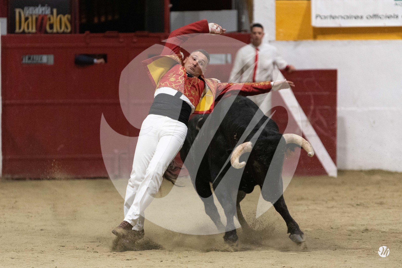 dsc_4746.jpg
