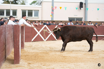 dsc_6176.jpg