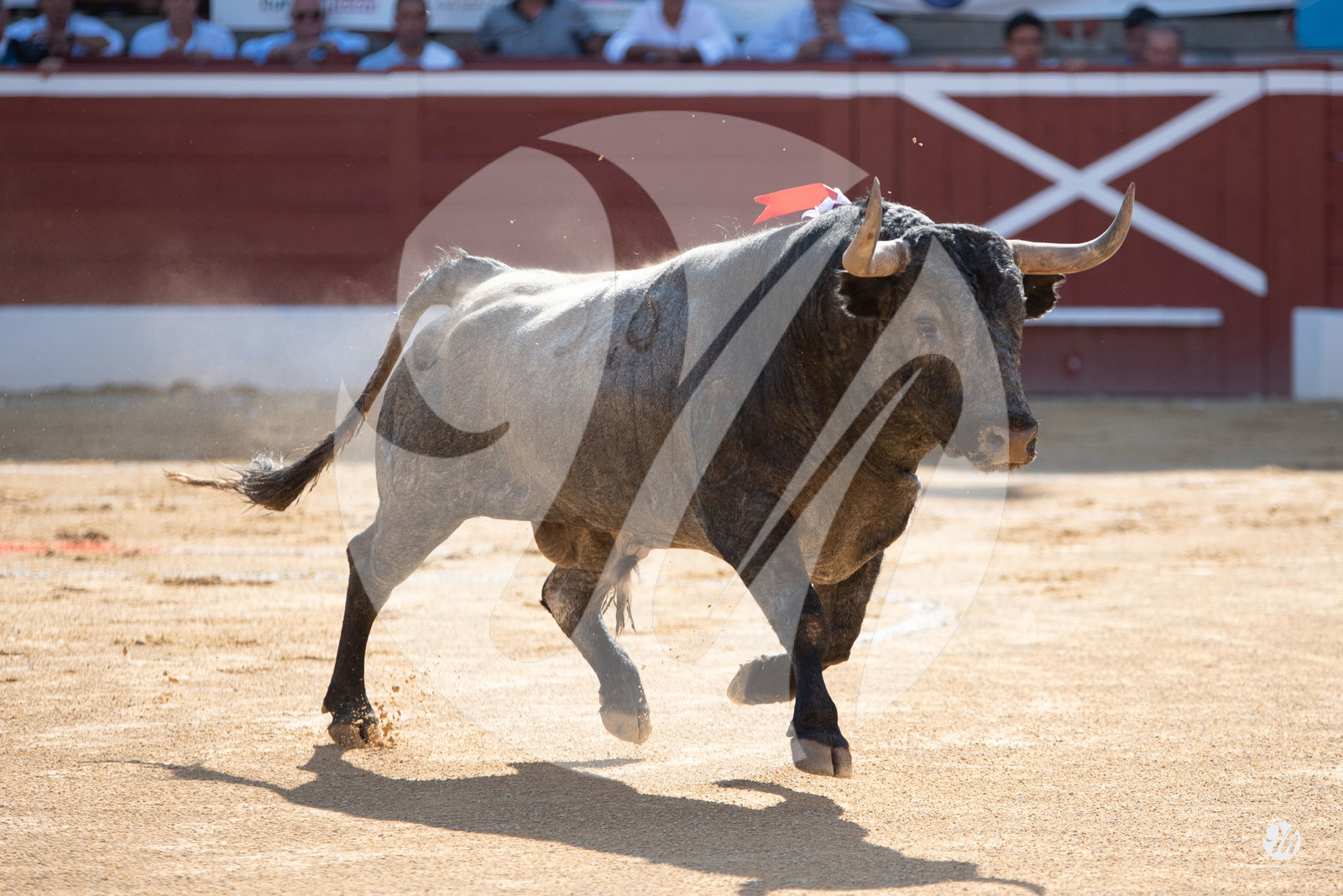 dsc_1389.jpg