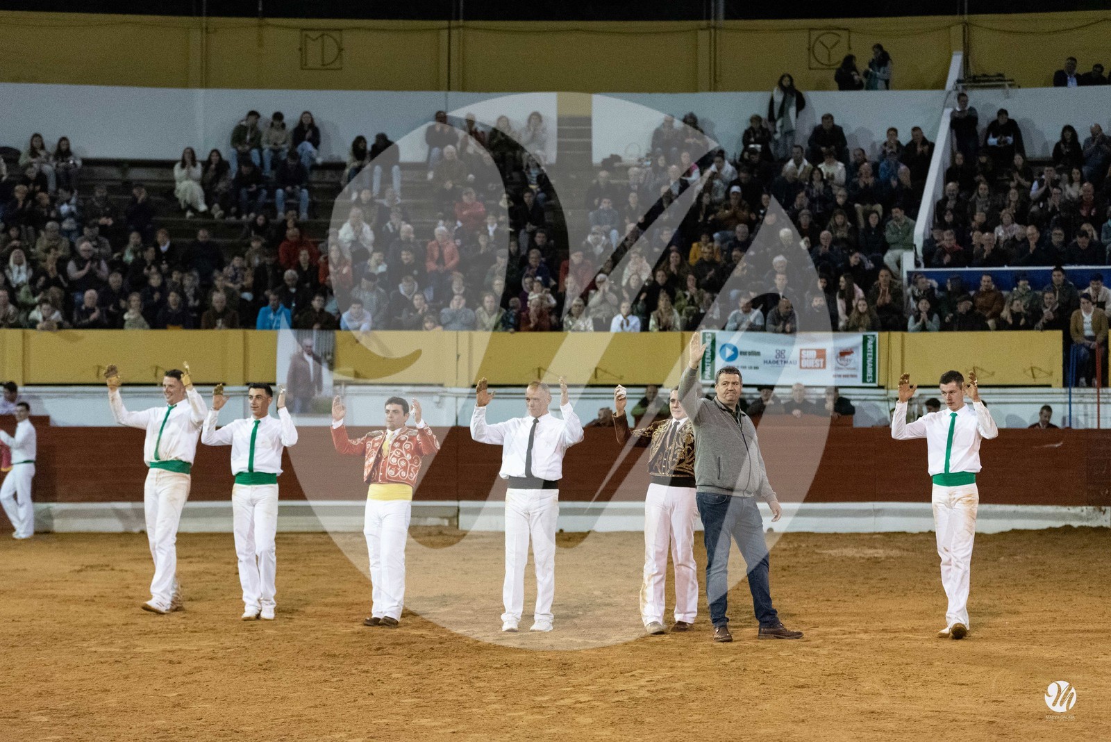 dsc_0596.jpg