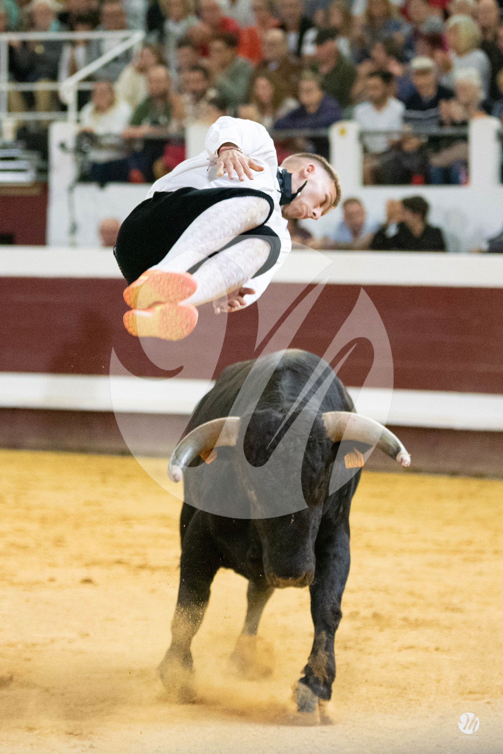 dsc_2571.jpg