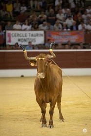 dsc_0059.jpg