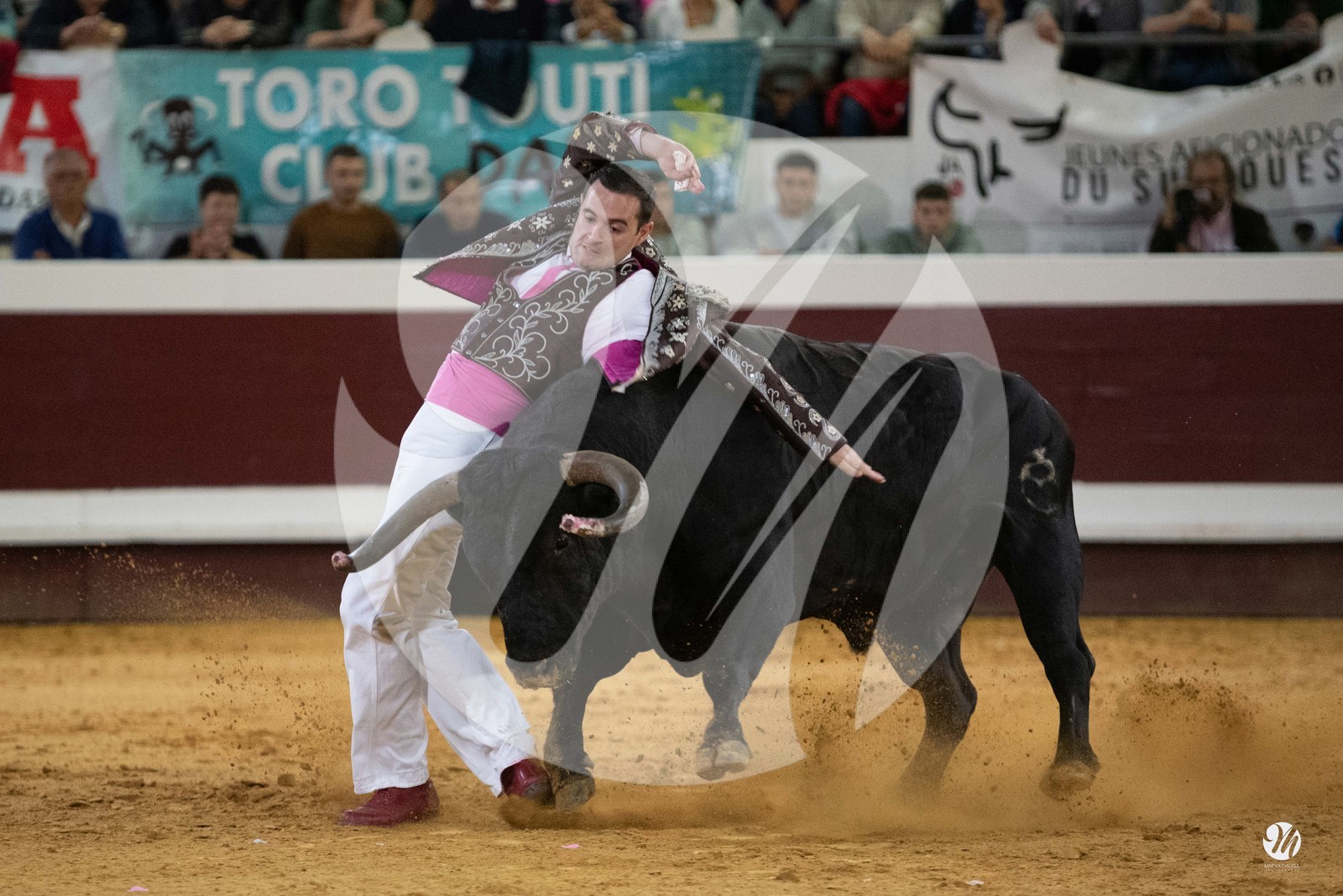 dsc_2481.jpg