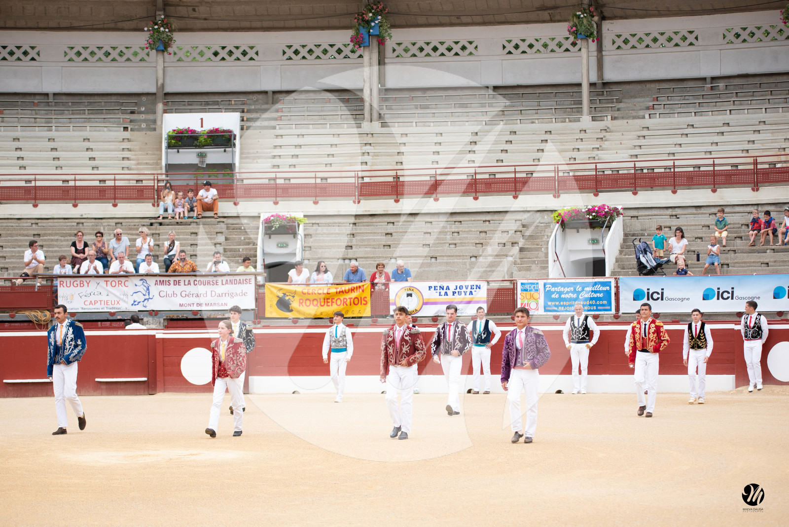 dsc_9077.jpg