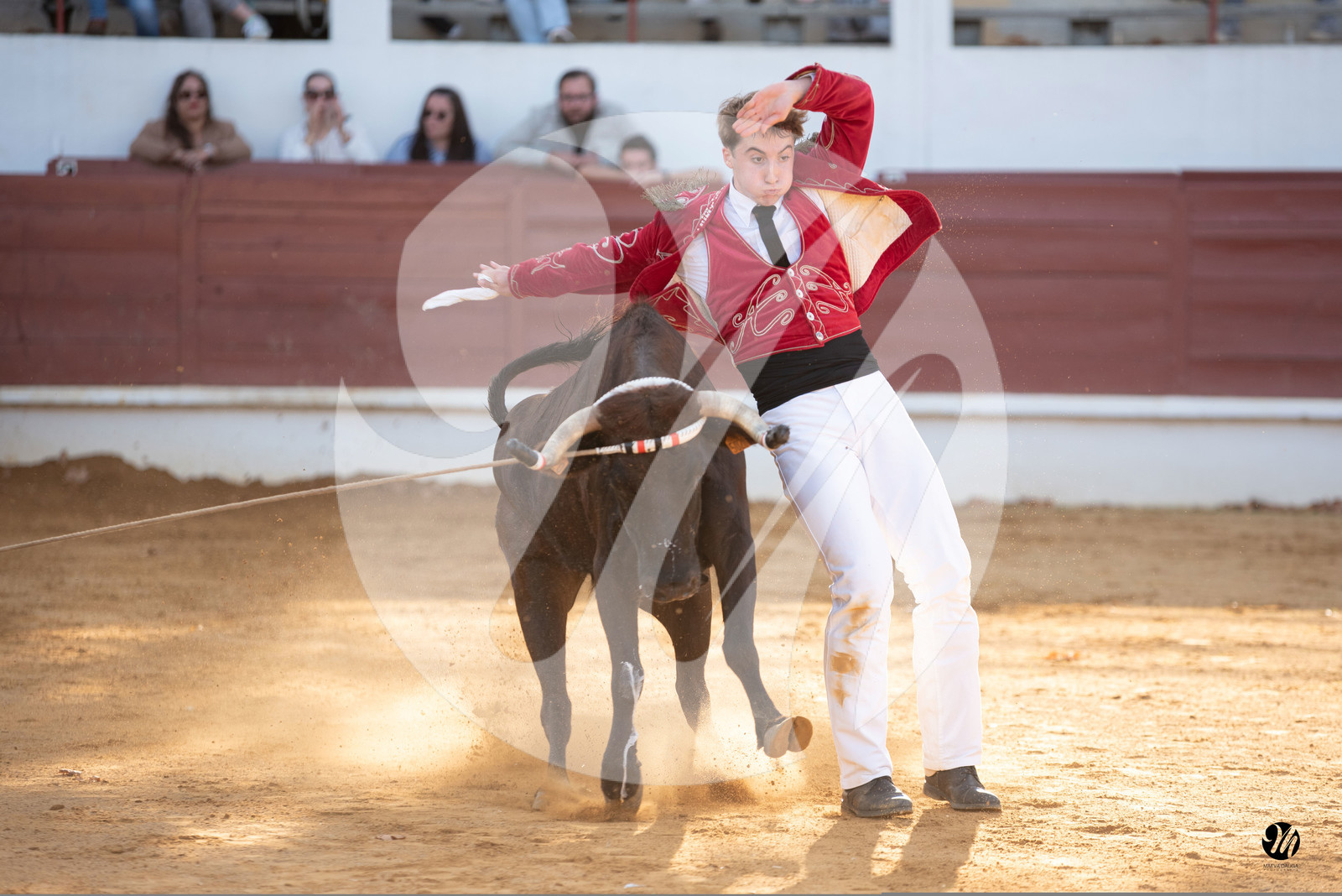 dsc_4375.jpg