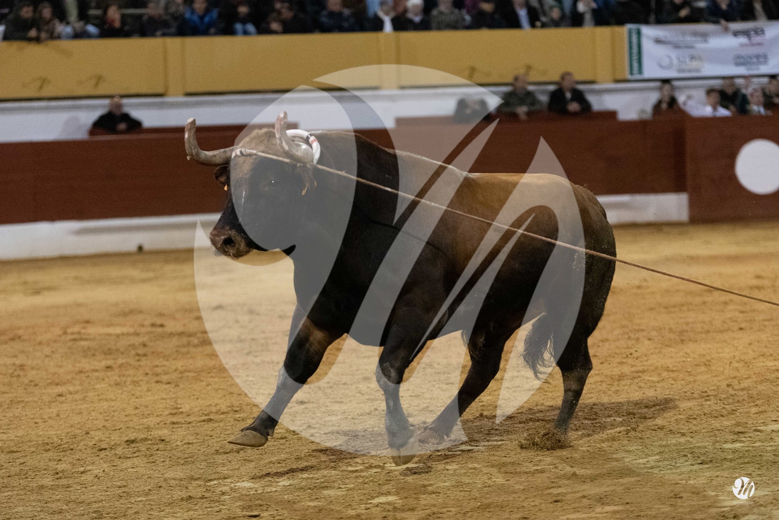 dsc_0531.jpg