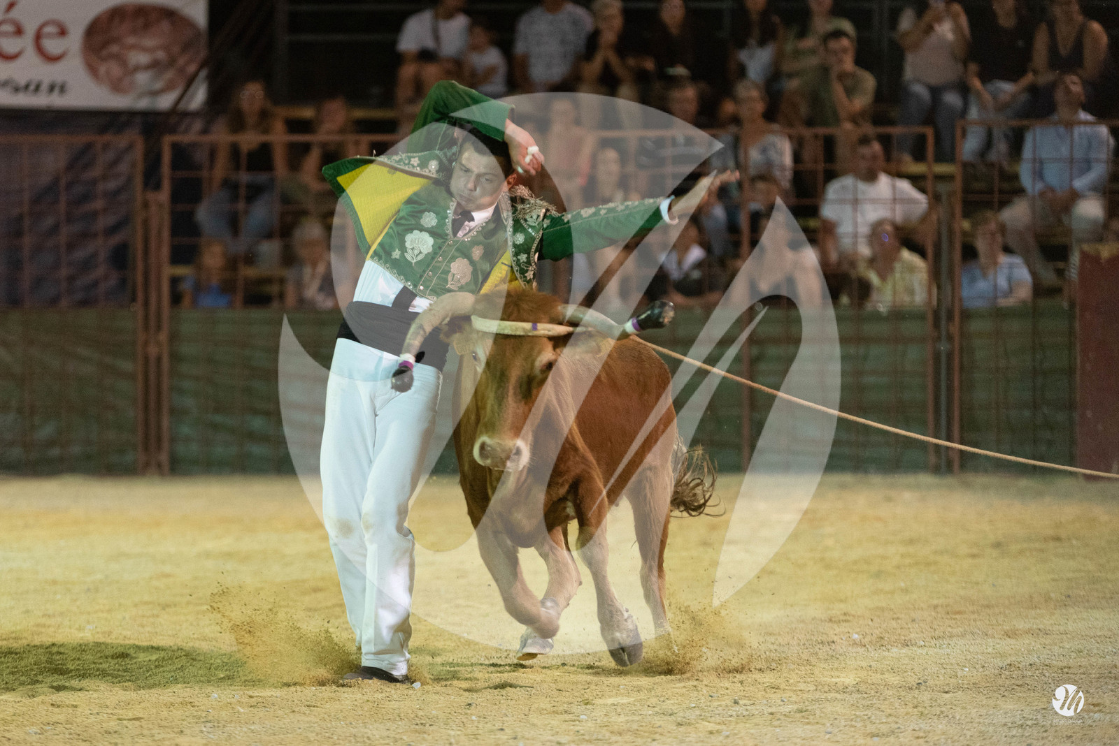 dsc_7870.jpg