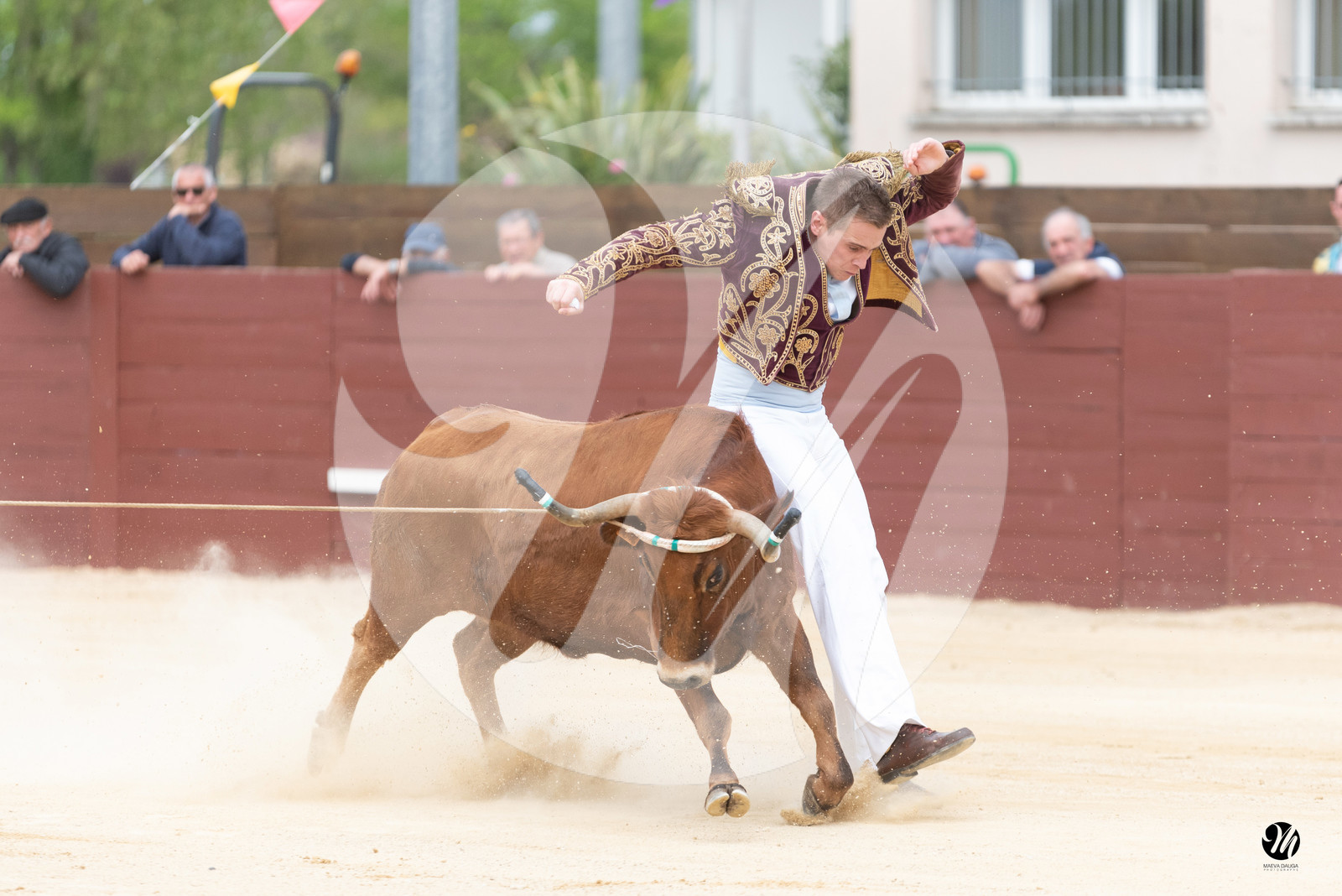 dsc_5611.jpg