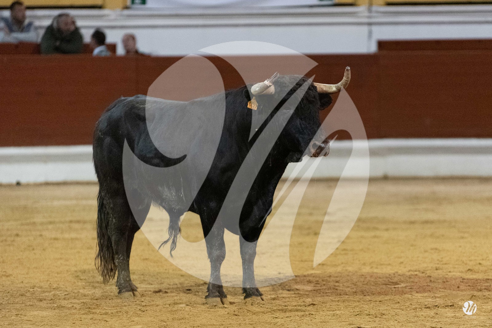 dsc_0657.jpg