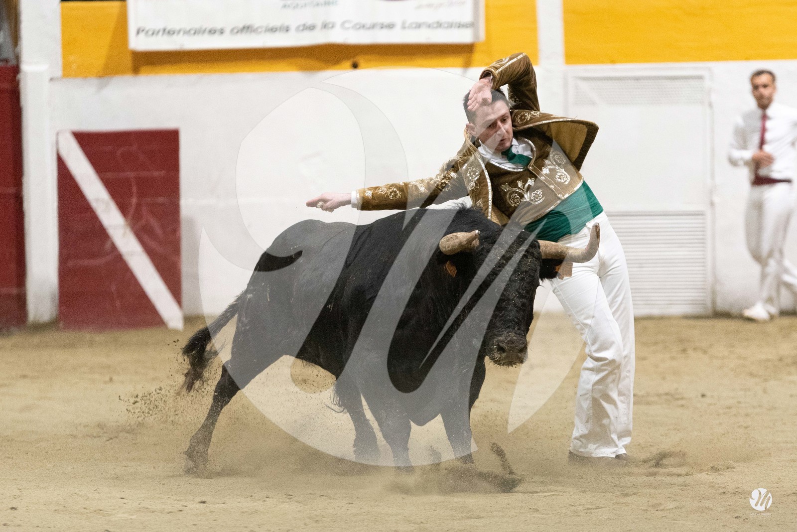 dsc_4604.jpg