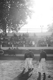 dsc_4500.jpg-nb.jpg