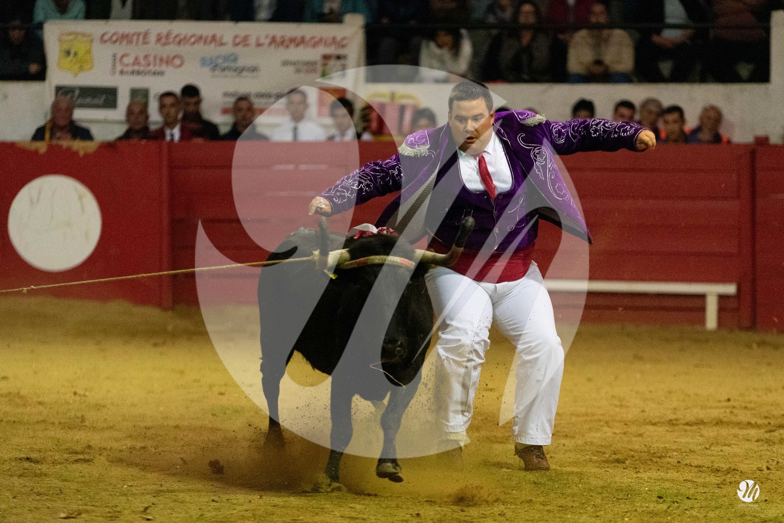 dsc_7245.jpg