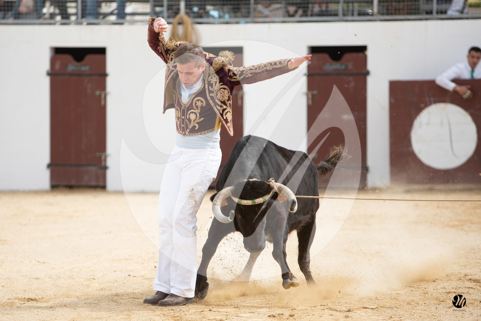 dsc_6048.jpg