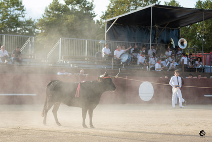 dsc_6116.jpg