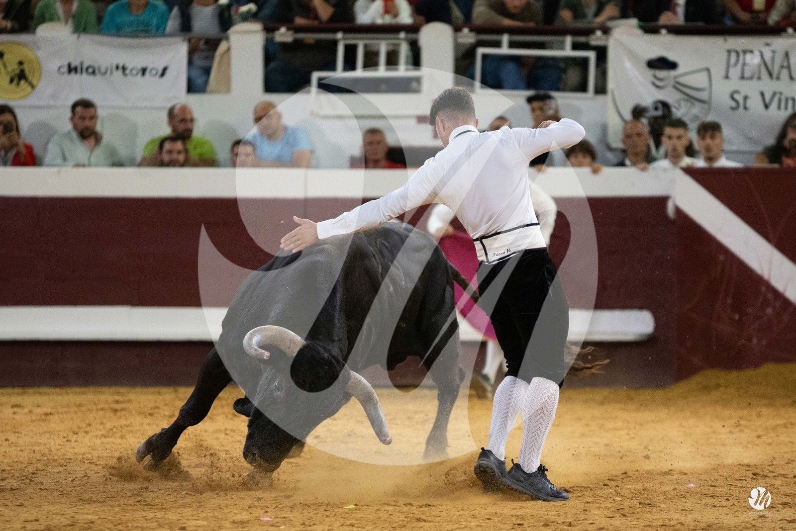 dsc_2289.jpg
