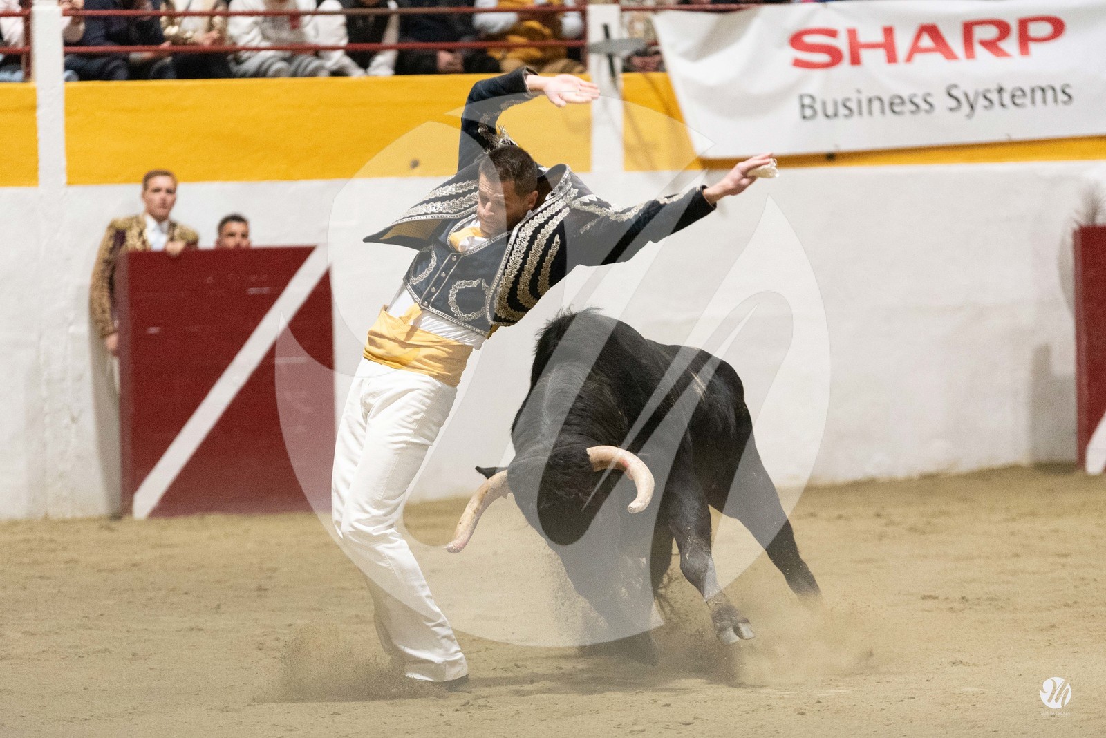 dsc_4673.jpg