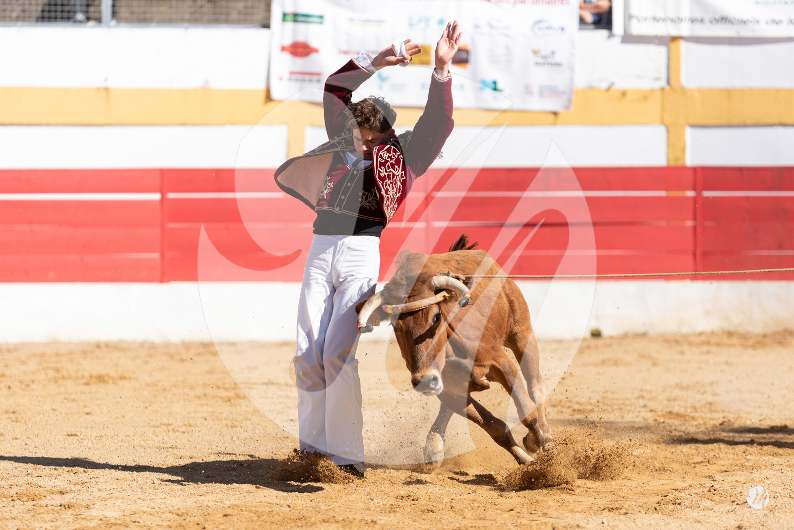 dsc_6616.jpg