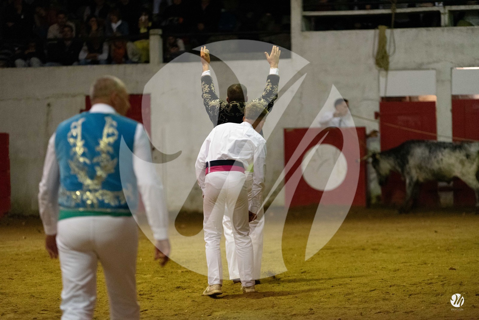 dsc_7749.jpg