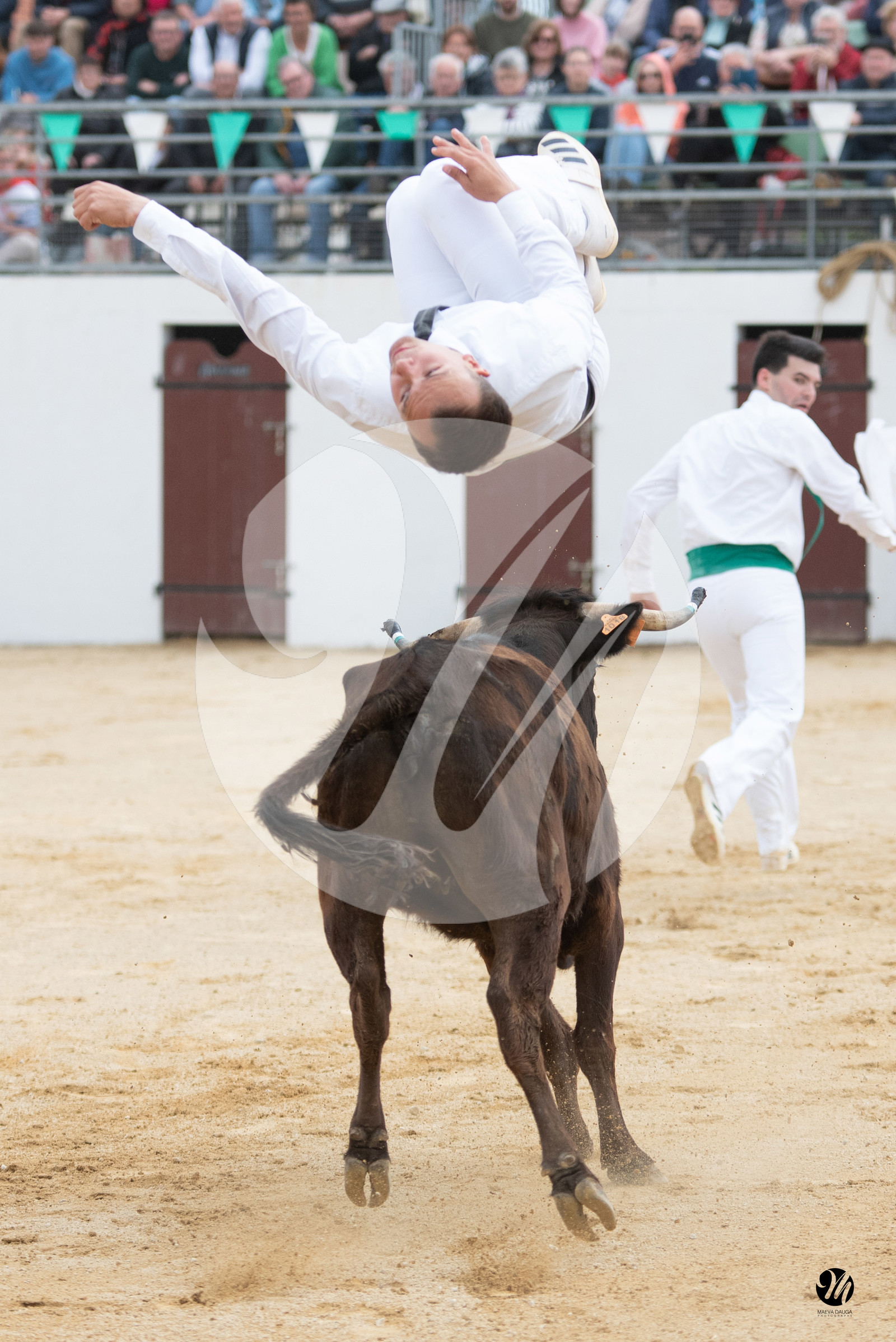 dsc_5959.jpg