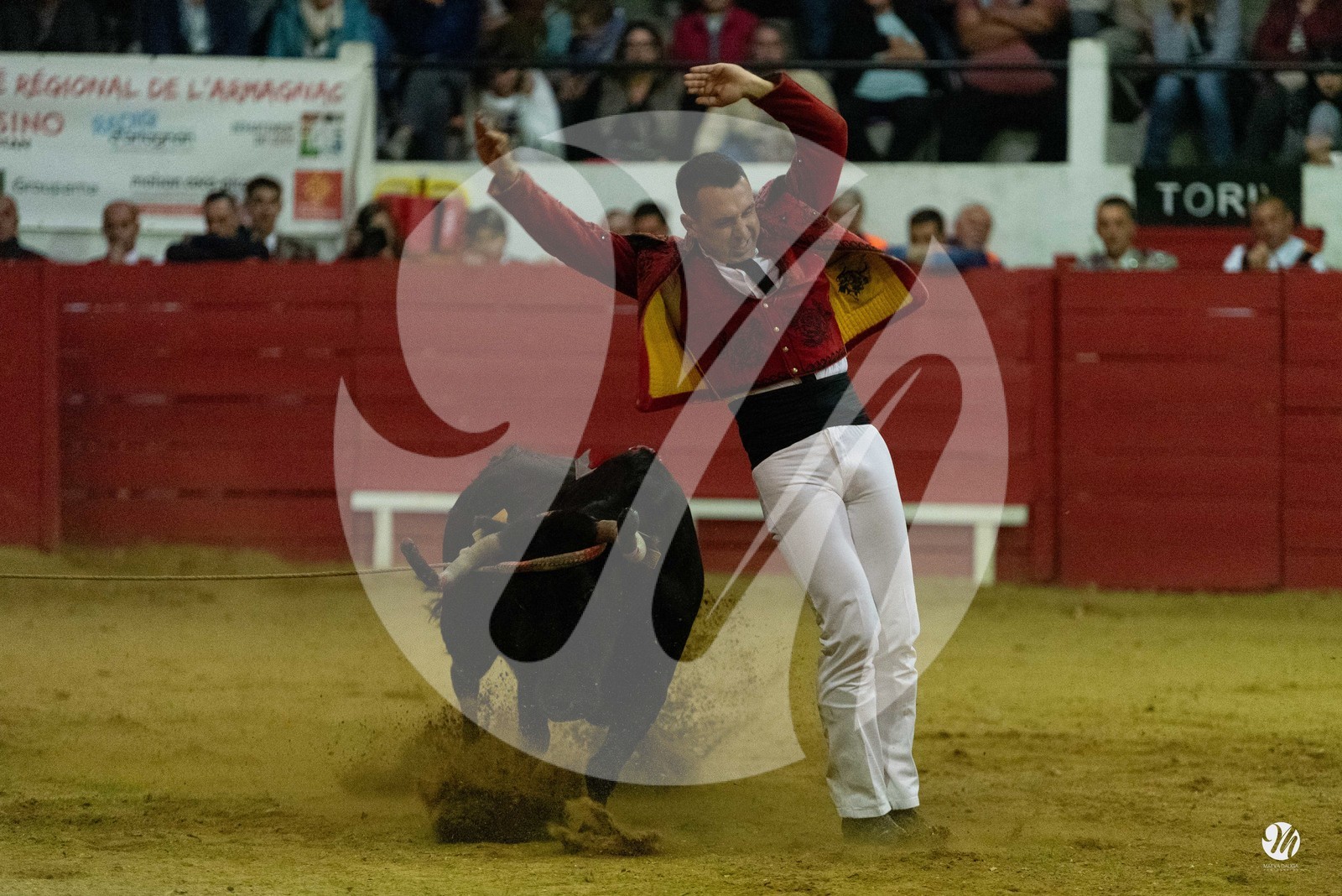 dsc_7314.jpg