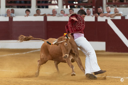 dsc_9405.jpg