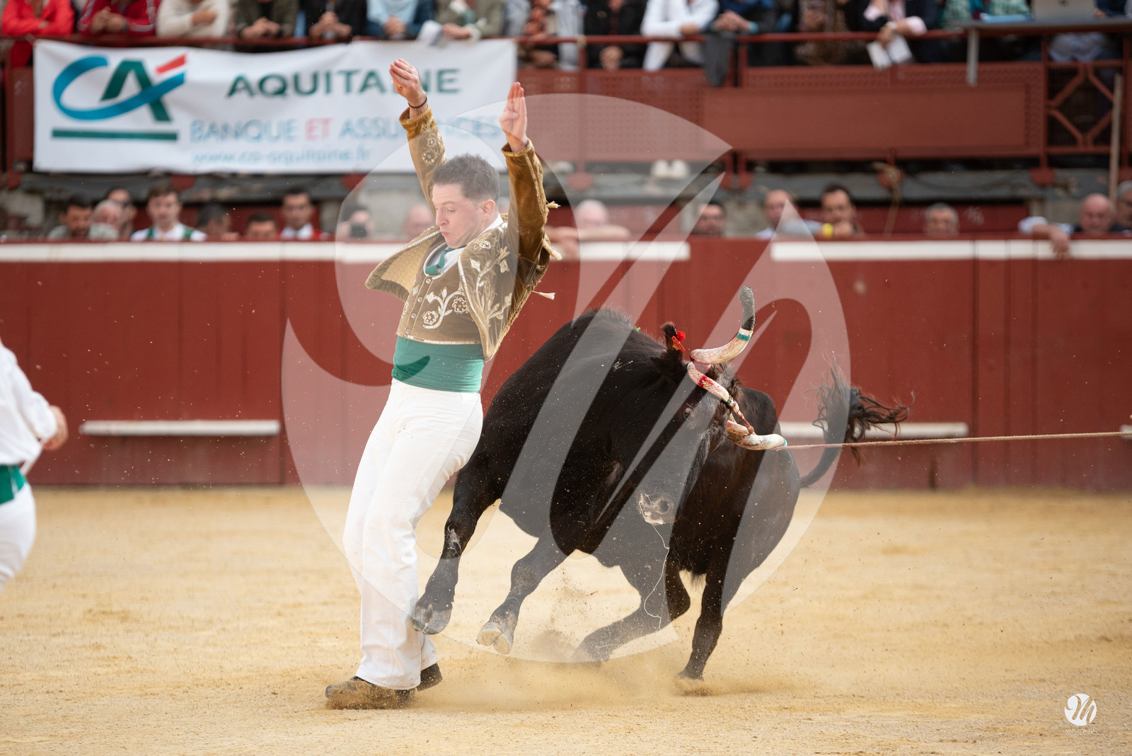 dsc_0281.jpg
