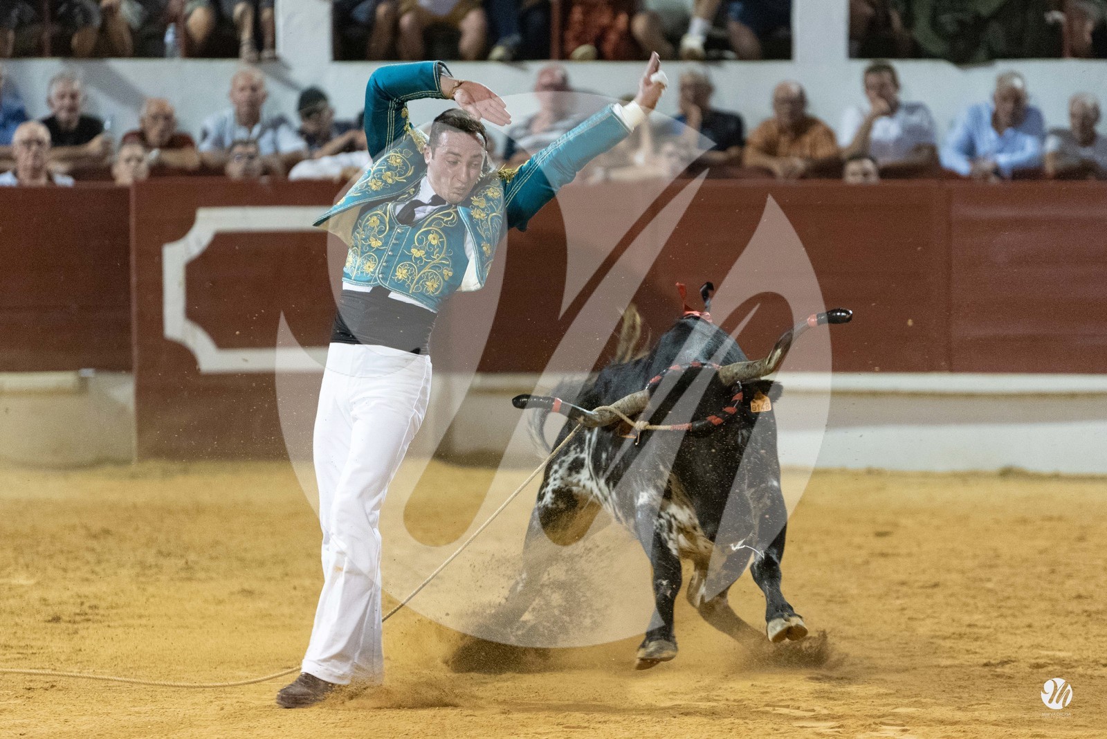 dsc_2968.jpg