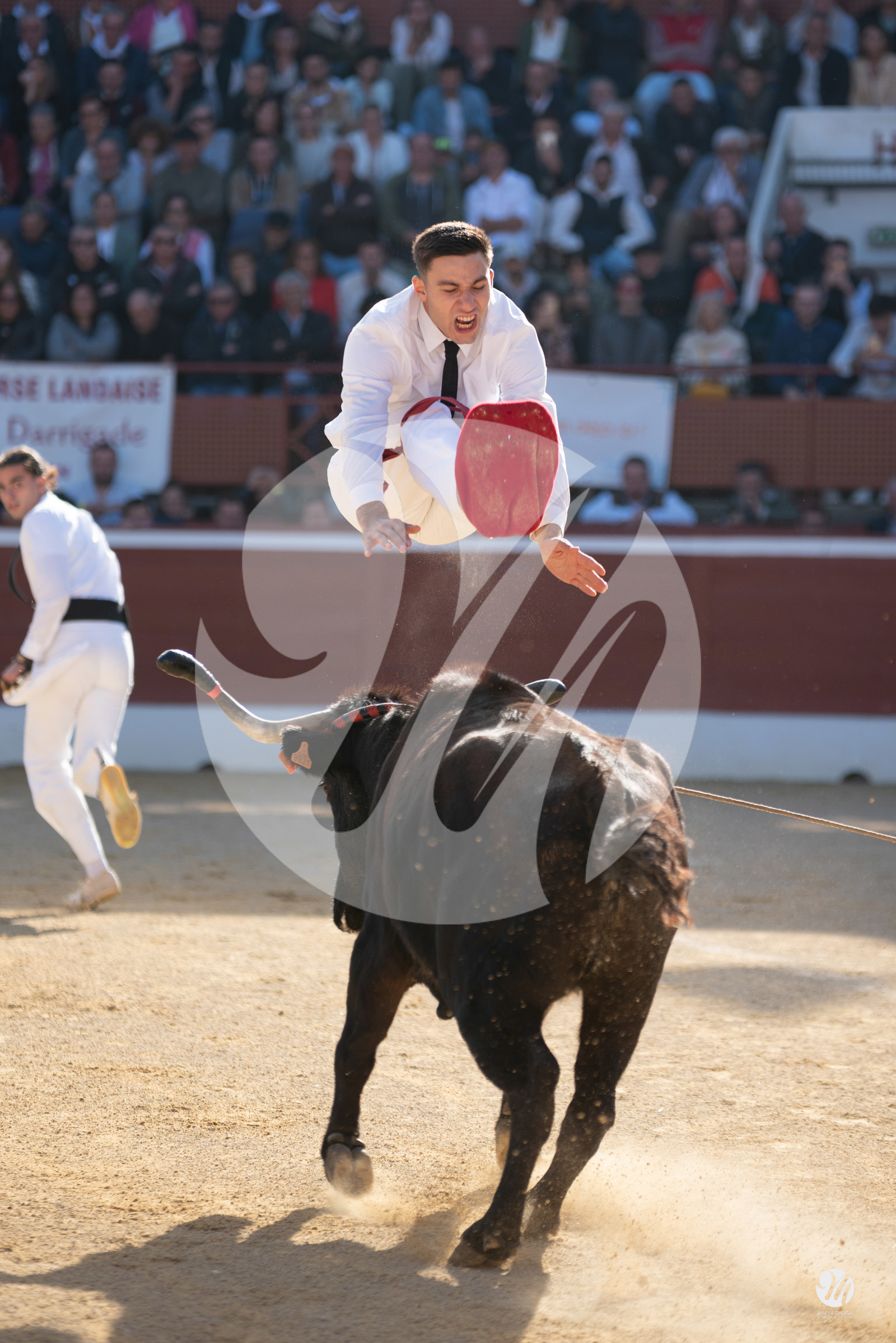 dsc_9953.jpg