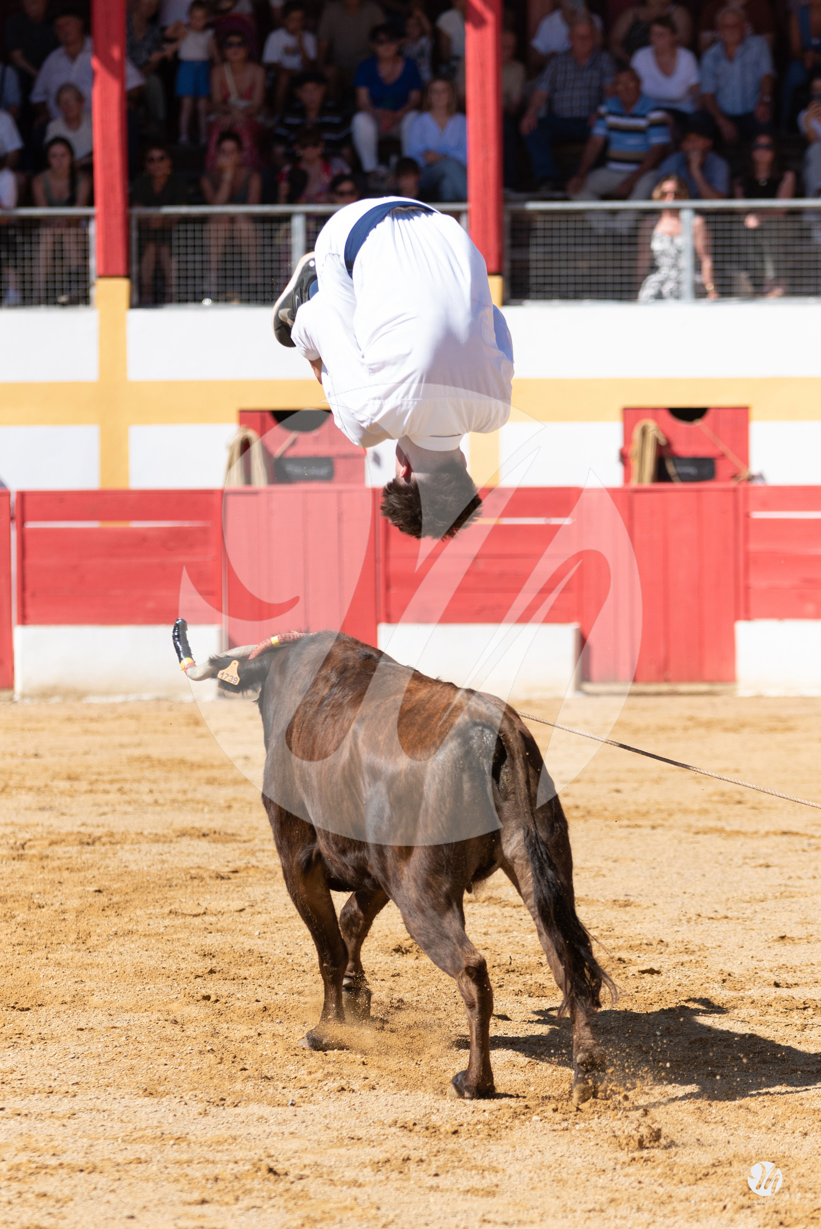 dsc_6335.jpg