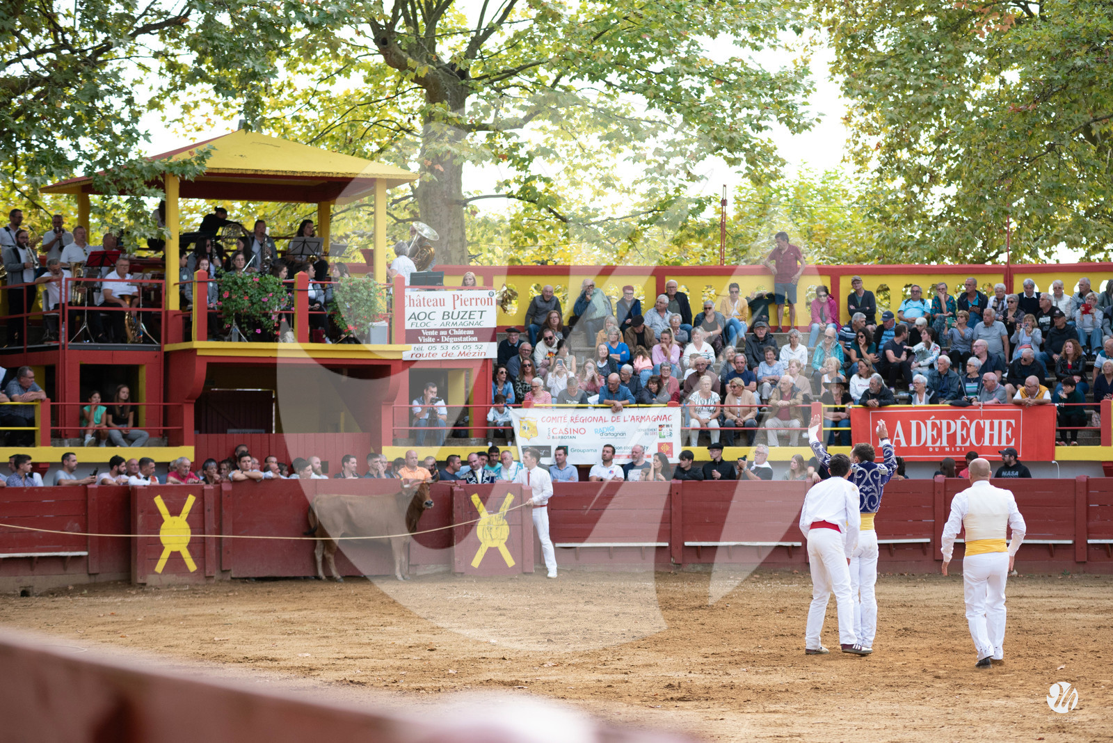 dsc_3412.jpg