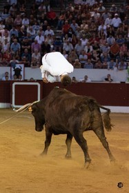 dsc_1660.jpg