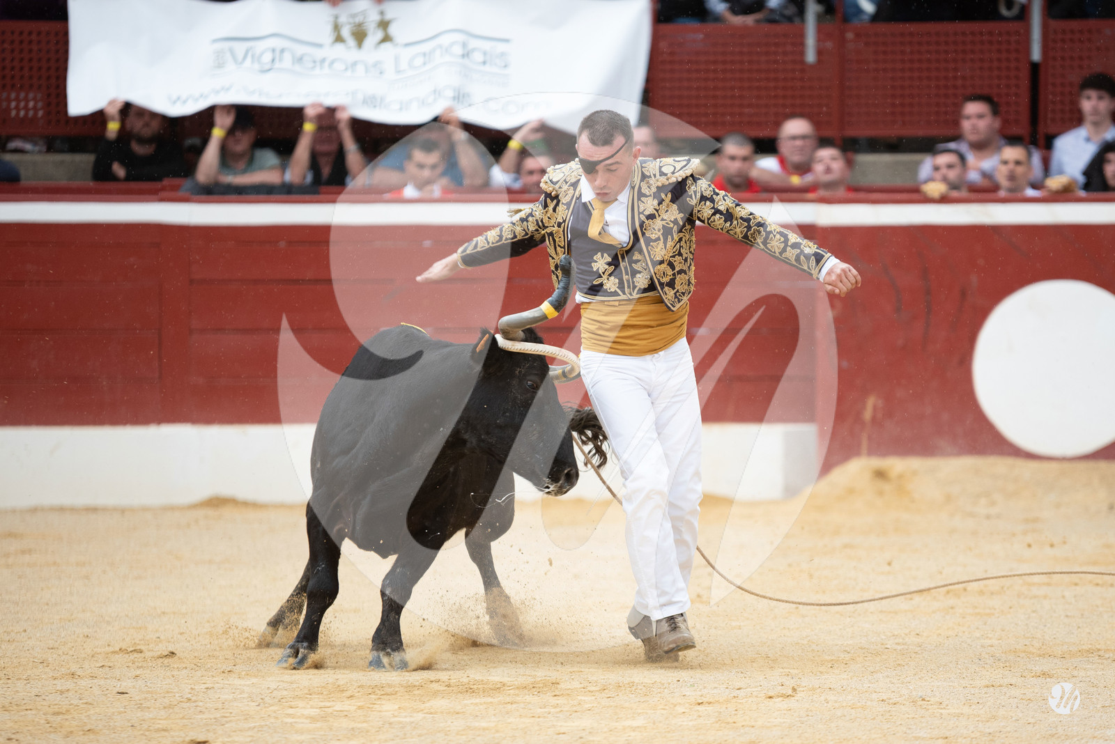 dsc_9651.jpg