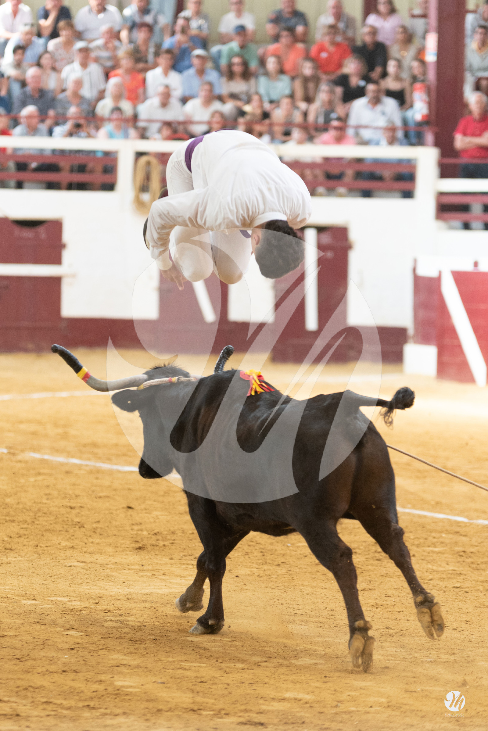 dsc_9492.jpg
