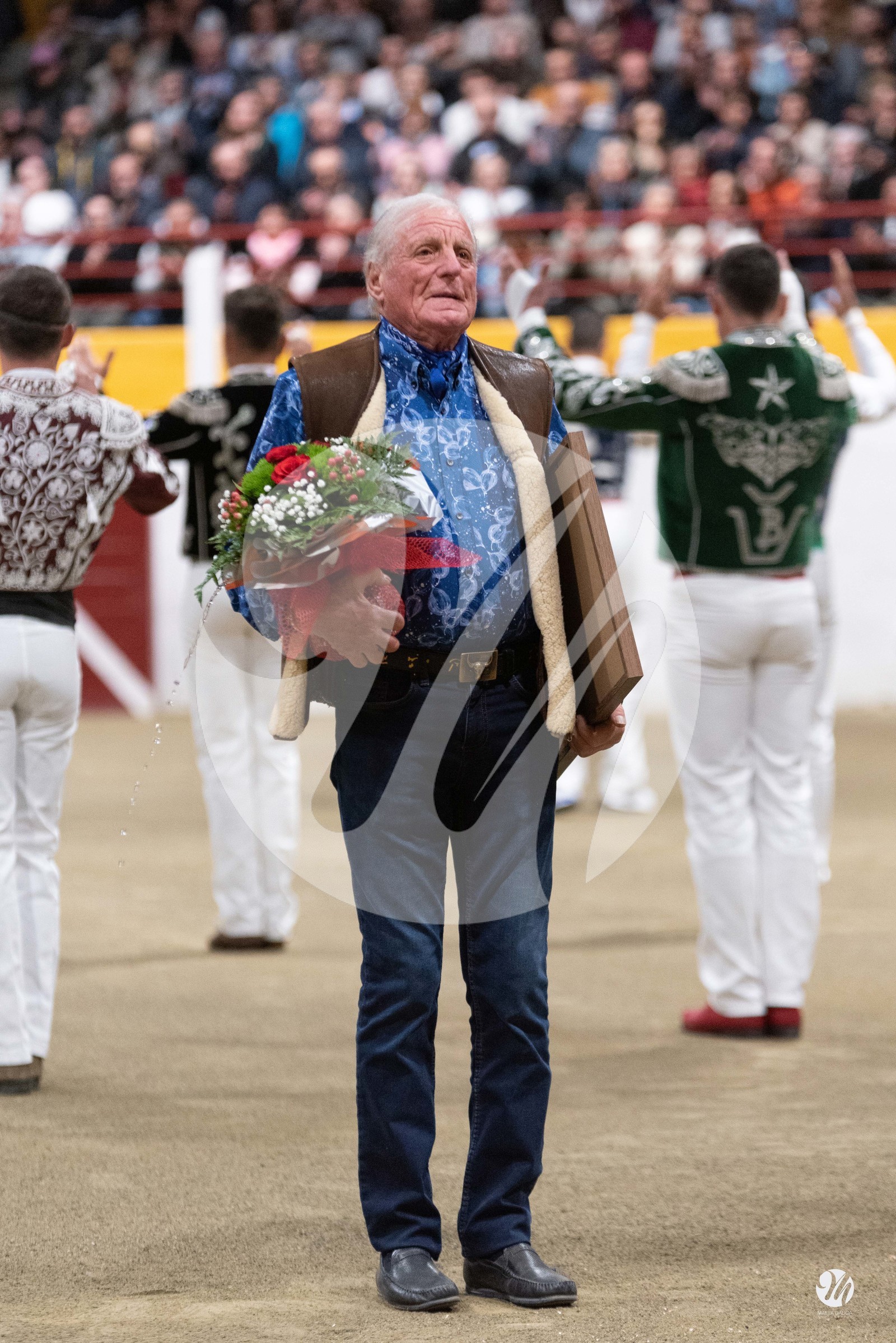 dsc_3805.jpg